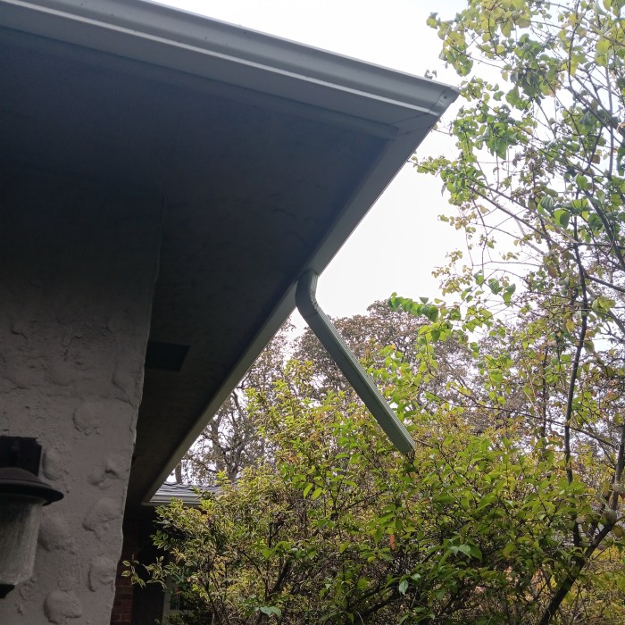 Downpipe on Residential Property in Victoria, BC