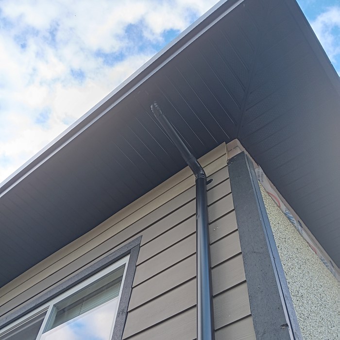 Gutters on Residential Property in Victoria, BC